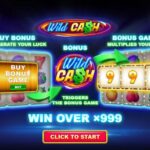 Player Wins $227,499 at BitStarz’s Classic Wild Cash Slot