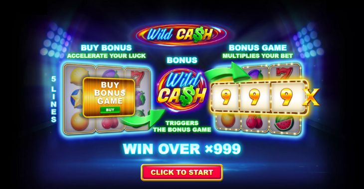 Player Wins $227,499 at BitStarz’s Classic Wild Cash Slot